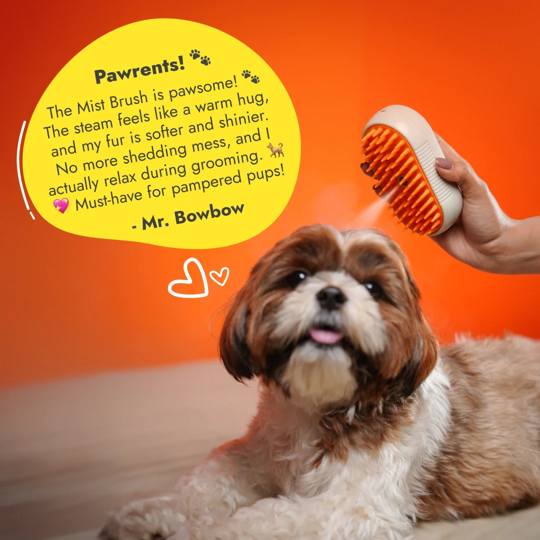 StreamBrush™ Steam Pet Grooming Brush