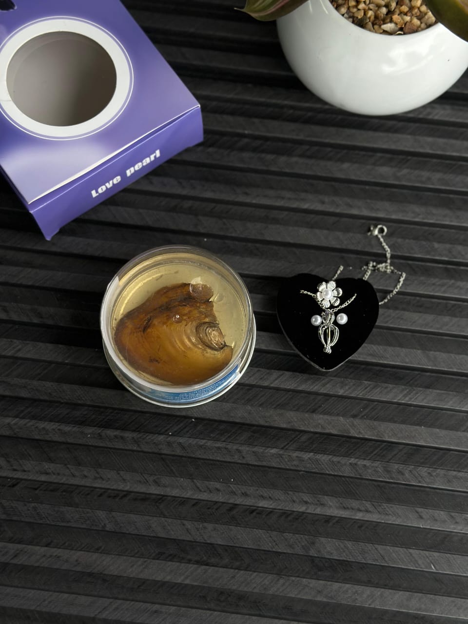 Love Pearl Wish Necklace – Real Oyster Pearl Gift Box for Her